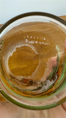 Vintage Hand Painted Highball Drinking Glasses Equestrienne  Fox Hunt-Made in Czechoslovakia Early 1900's view 4